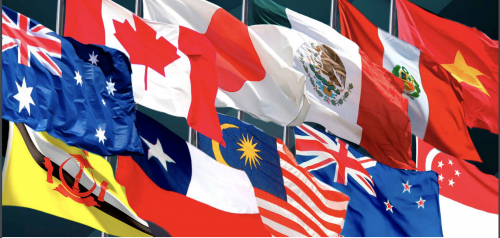 Los países del TPP11 avanzan hacia la recuperación del acuerdo: El CPTPP en perspectiva