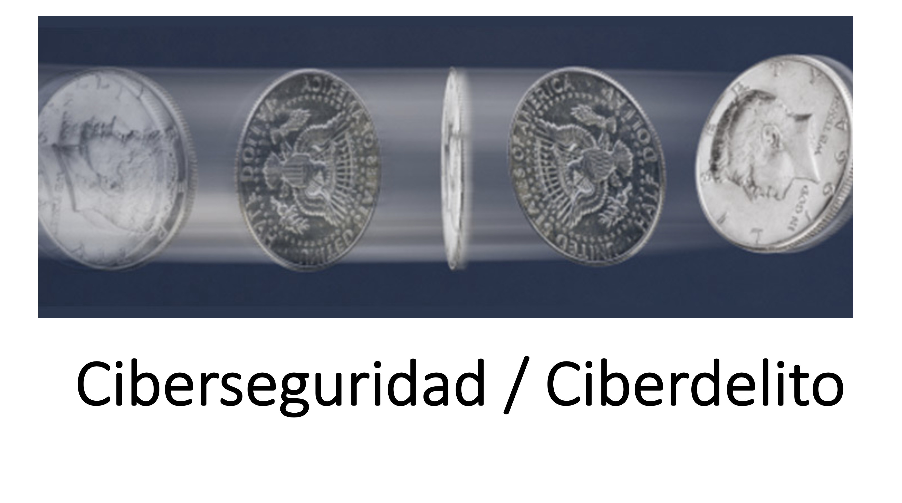 CIBERSEGURIDAD/DIBERDELITO.  - PEDRO VERDELHO