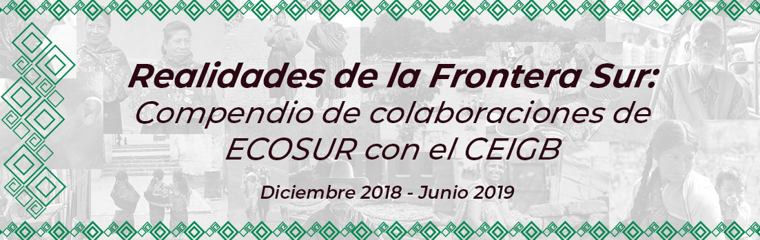 Realidades de la Frontera Sur: Compendio de colaboraciones de ECOSUR con el CEIGB