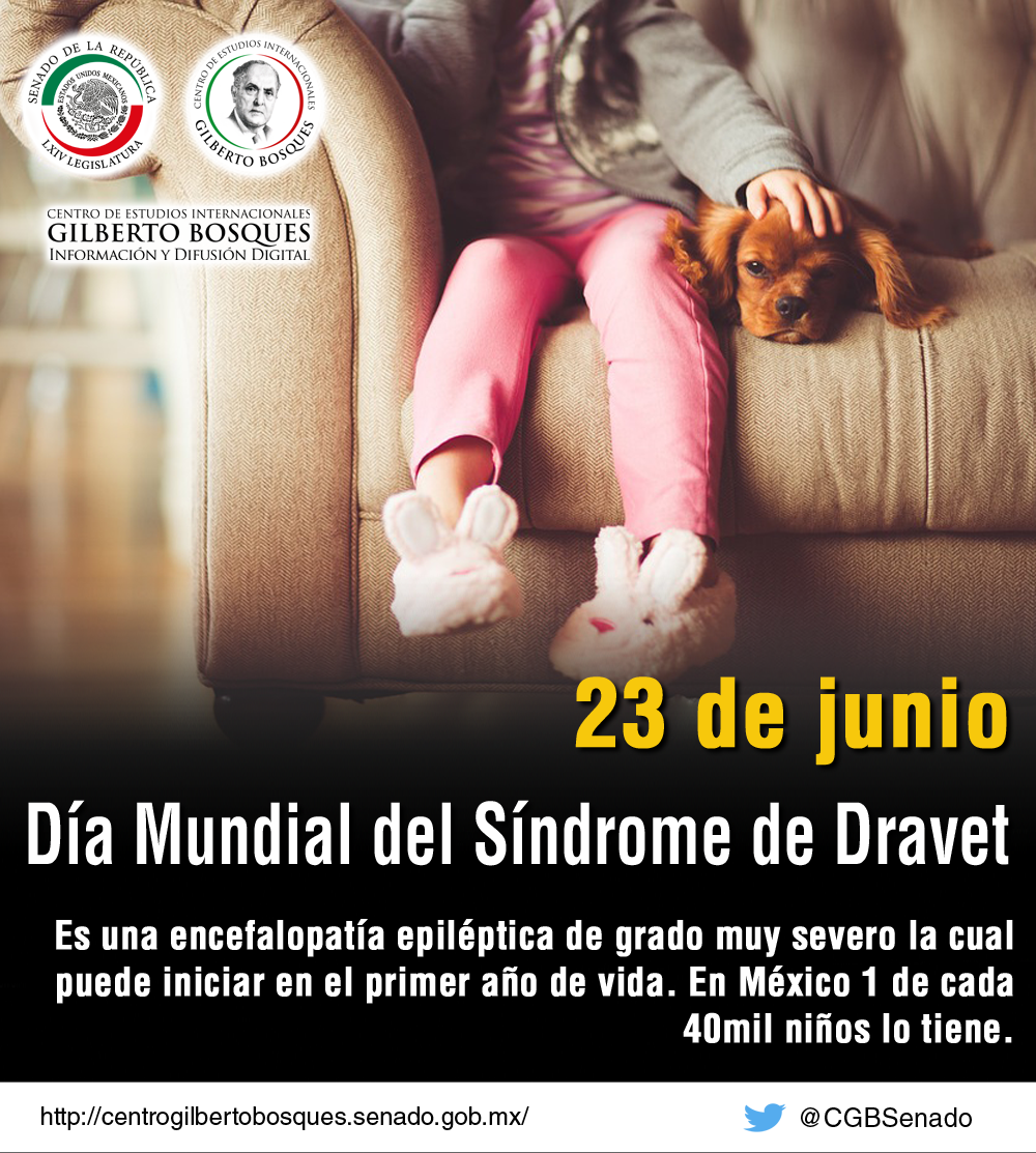 23 De Junio Día Mundial Del Síndrome De Dravet Efemérides 5241