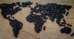 Hacia una cafeticultura integral: experiencias internacionales intersectoriales diferenciadas