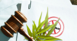 Consideraciones generales sobre la regulación del cannabis