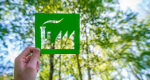 Acero verde: elemento clave para una siderurgia sostenible