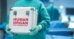 Perspectivas del nuevo marco jurídico de la donación de órganos en México