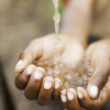 Sectores público y privado ante el Derecho Humano al Acceso al Agua y el Saneamiento: éxitos, fracasos y desafíos comunes