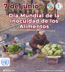 07 de junio -Día Mundial de la Inocuidad de los Alimentos