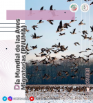 9 de octubre - Día Mundial de las Aves Migratorias (PNUMA)