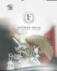 Informe Anual de la Actividad Internacional del Senado-2017